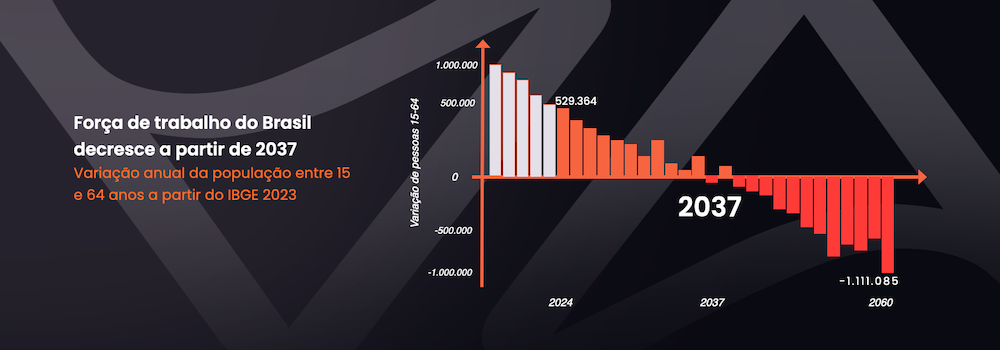 Pir&acirc;mide et&aacute;ria brasileira