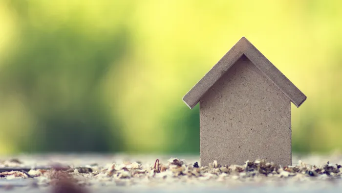Biomimética: a natureza como aliada da sustentabilidade na construção civil